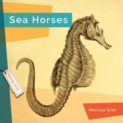 Koniki morskie - Seahorses