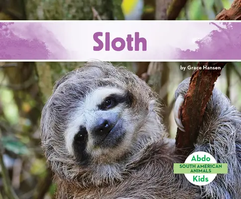 Leniwiec - Sloth