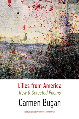 Lilie z Ameryki: Nowe i wybrane wiersze - Lilies from America: New and Selected Poems