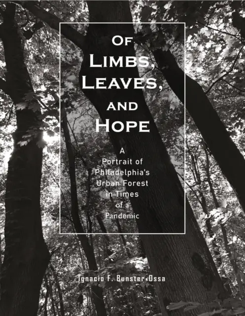 O kończynach, liściach i nadziei: portret miejskiego lasu w Filadelfii w czasach pandemii - Of Limbs, Leaves, and Hope: A Portrait of Philadelphia's Urban Forest in Times of a Pandemic