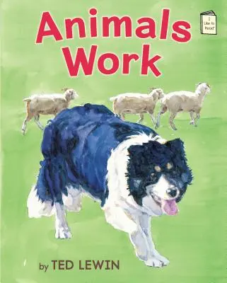 Zwierzęta pracują - Animals Work