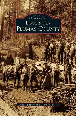 Pozyskiwanie drewna w hrabstwie Plumas - Logging in Plumas County