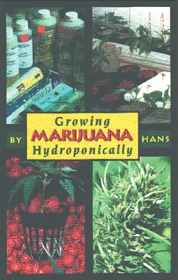 Hydroponiczna uprawa marihuany - Growing Marijuana Hydroponically