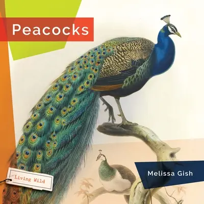 Pawie - Peacocks