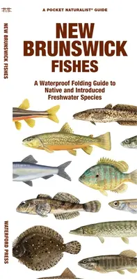 New Brunswick Fishes: Wodoodporny składany przewodnik po rodzimych i wprowadzonych gatunkach słodkowodnych - New Brunswick Fishes: A Waterproof Folding Guide to Native and Introduced Freshwater Species