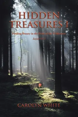 Ukryte skarby I: Odnajdywanie piękna w próbach dzikiej przyrody - Hidden Treasures I: Finding Beauty in the Trials of the Wilderness