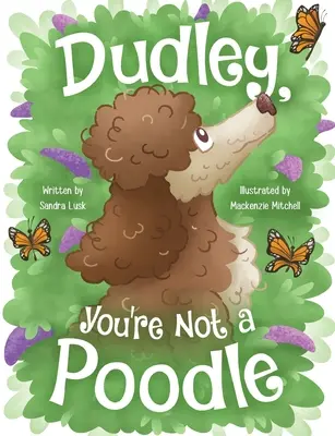Dudley, nie jesteś pudlem - Dudley, You're Not a Poodle