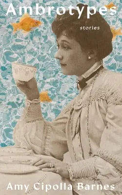 Ambrotypy - Ambrotypes