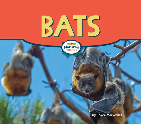 Nietoperze - Bats