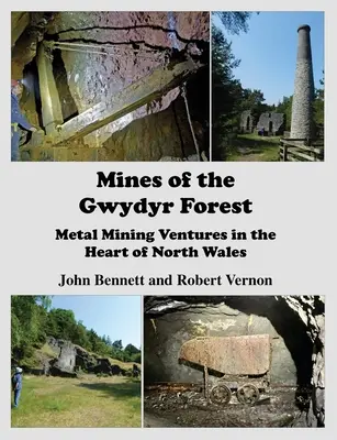 Kopalnie lasu Gwydyr: Wydobycie metali w sercu północnej Walii - Mines of the Gwydyr Forest: Metal Mining Ventures in the Heart of North Wales