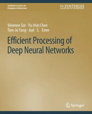 Efektywne przetwarzanie głębokich sieci neuronowych - Efficient Processing of Deep Neural Networks