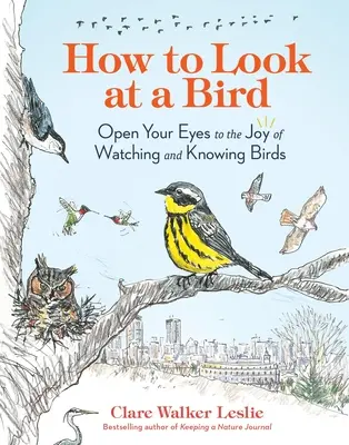 Jak patrzeć na ptaki: Otwórz oczy na radość obserwowania i poznawania ptaków - How to Look at a Bird: Open Your Eyes to the Joy of Watching and Knowing Birds