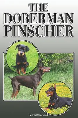 Pinczer doberman: Kompletny i kompleksowy przewodnik dla właścicieli: Kupowanie, posiadanie, zdrowie, pielęgnacja, szkolenie, posłuszeństwo, zrozumienie i - The Doberman Pinscher: A Complete and Comprehensive Owners Guide To: Buying, Owning, Health, Grooming, Training, Obedience, Understanding and