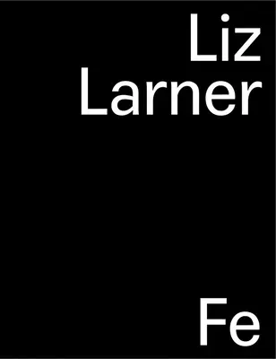 Liz Larner: Don't Put It Back Like It Was