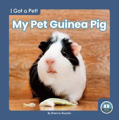 Moja świnka morska - My Pet Guinea Pig