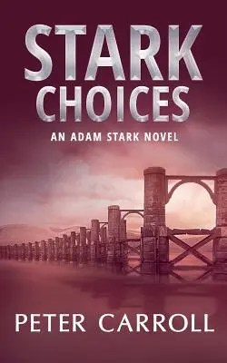 Stark Choices: Powieść o Adamie Starku - Stark Choices: An Adam Stark Novel