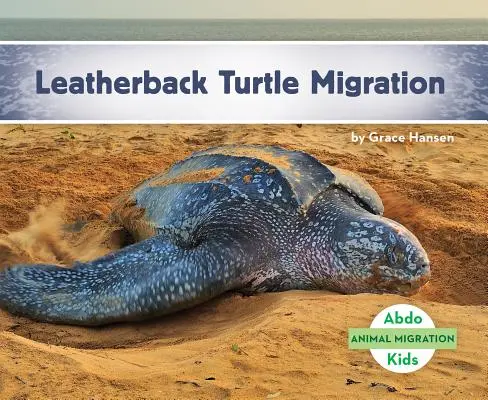 Migracja żółwi skórzastych - Leatherback Turtle Migration