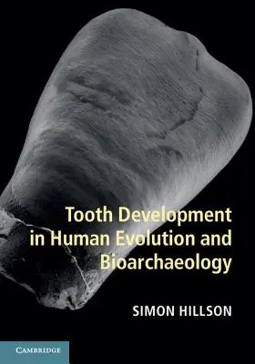Rozwój zębów w ewolucji człowieka i bioarcheologii - Tooth Development in Human Evolution and Bioarchaeology