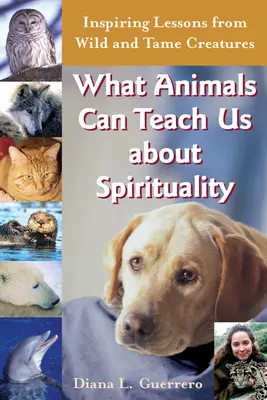 Czego zwierzęta mogą nas nauczyć o duchowości: Inspirujące lekcje od dzikich i oswojonych stworzeń - What Animals Can Teach Us about Spirituality: Inspiring Lessons from Wild and Tame Creatures