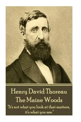 Henry David Thoreau - Lasy Maine: Większość ludzi prowadzi życie w cichej desperacji”. - Henry David Thoreau - The Maine Woods: The mass of men lead lives of quiet desperation.