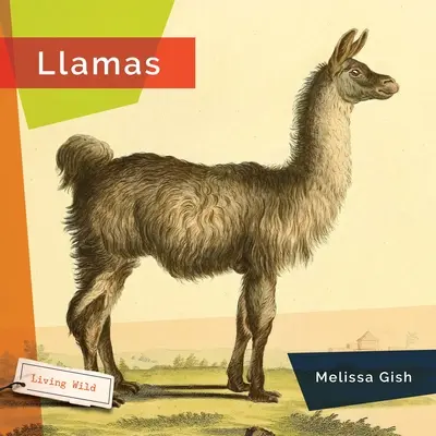 Lamy - Llamas