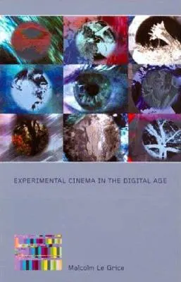 Kino eksperymentalne w erze cyfrowej - Experimental Cinema in the Digital Age