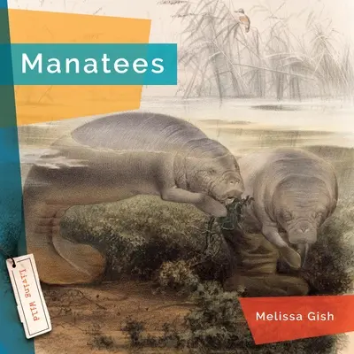 Manaty - Manatees