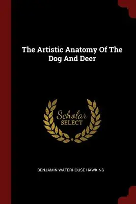Artystyczna anatomia psa i jelenia - The Artistic Anatomy Of The Dog And Deer