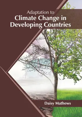 Adaptacja do zmian klimatu w krajach rozwijających się - Adaptation to Climate Change in Developing Countries