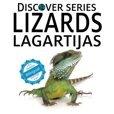 Jaszczurki / Lagartijas - Lizards / Lagartijas