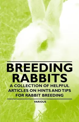 Hodowla królików - zbiór przydatnych artykułów na temat wskazówek i porad dotyczących hodowli królików - Breeding Rabbits - A Collection of Helpful Articles on Hints and Tips for Rabbit Breeding