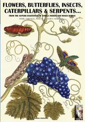 Kwiaty, motyle, owady, gąsienice i węże...: Z rycin Sybilli Merian i Mojżesza Harissa XVII-XVIII w. - flowers, butterflies, insects, caterpillars & serpents...: From Sybilla Merian & Moses Hariss XVII-XVIII Centuries engravings