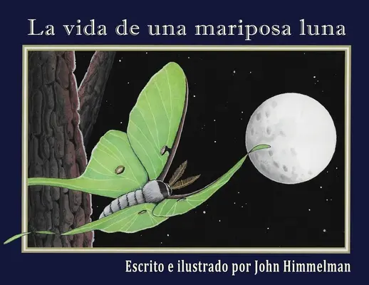 La vida de una mariposa luna