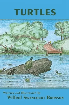 Żółwie - Turtles