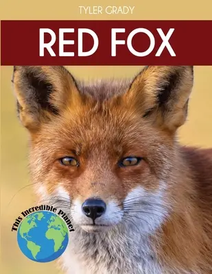 Lis rudy: Fascynujące fakty o zwierzętach dla dzieci - Red Fox: Fascinating Animal Facts for Kids