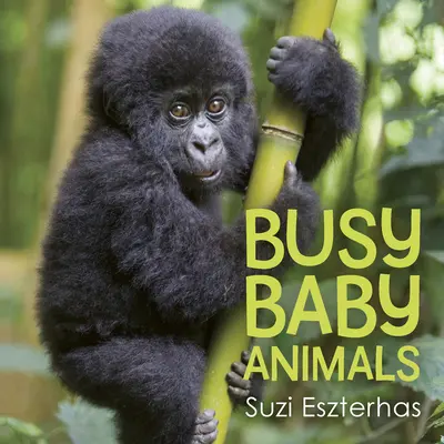 Zajęte małe zwierzęta - Busy Baby Animals