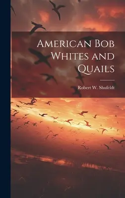 Amerykańskie bieliki i przepiórki - American bob Whites and Quails