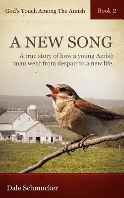 Dotyk Boga wśród Amiszów, Księga 2