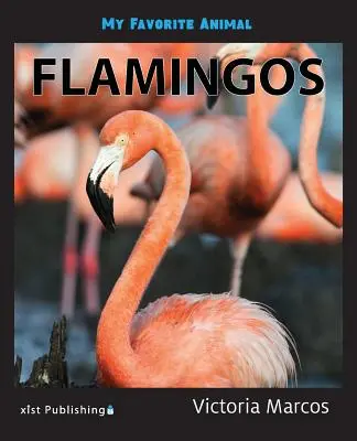 Moje ulubione zwierzę: Flamingi - My Favorite Animal: Flamingos