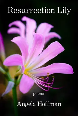 Zmartwychwstanie Lily - Resurrection Lily