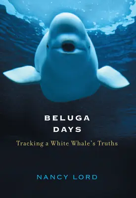 Beluga Days: Śledząc prawdy białego wieloryba - Beluga Days: Tracking a White Whale's Truths