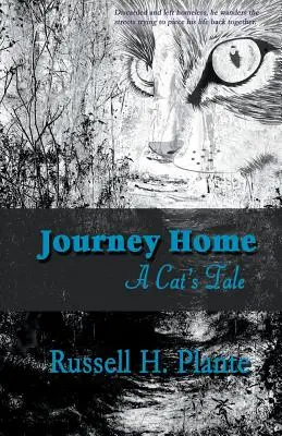 Podróż do domu - opowieść o kocie - Journey Home - A Cat's Tale