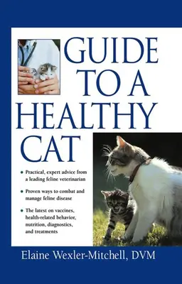 Przewodnik po zdrowym kocie - Guide to a Healthy Cat