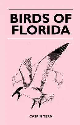 Ptaki Florydy - Birds of Florida