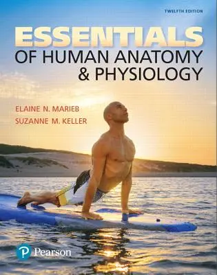 Podstawy anatomii i fizjologii człowieka - Essentials of Human Anatomy & Physiology