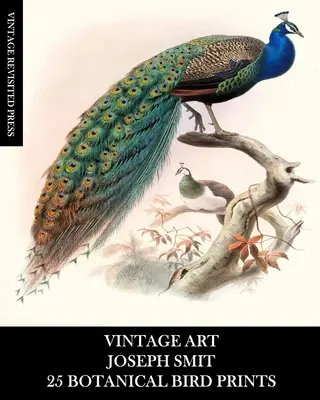 Vintage Art: Joseph Smit: 25 odbitek botanicznych ptaków: Efemeryda ornitologiczna do oprawy, dekoracji wnętrz, kolażu i decoupage - Vintage Art: Joseph Smit: 25 Botanical Bird Prints: Ornithology Ephemera for Framing, Home Decor, Collage and Decoupage