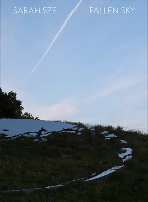 Sarah Sze: Upadłe niebo - Sarah Sze: Fallen Sky