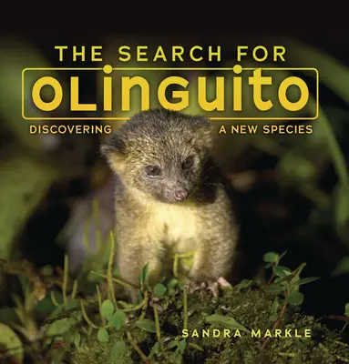 W poszukiwaniu Olinguito: Odkrywanie nowego gatunku - The Search for Olinguito: Discovering a New Species