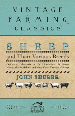 Owce i ich różne rasy - Zawierająca informacje o Lincolnshire, Saxon Merino, Southdown i wielu innych odmianach owiec - Sheep and Their Various Breeds - Containing Information on the Lincolnshire, the Saxon Merino, the Southdown and Many Other Varieties of Sheep