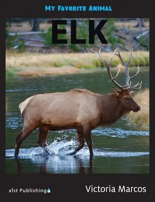 Moje ulubione zwierzę: Łoś - My Favorite Animal: Elk